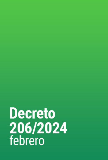 Decreto 206/2024