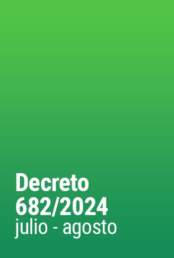 Decreto 682/2024