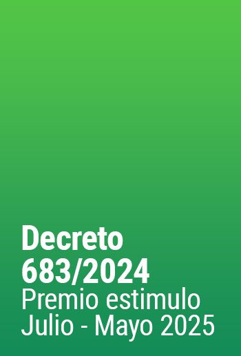 Decreto 683/2024