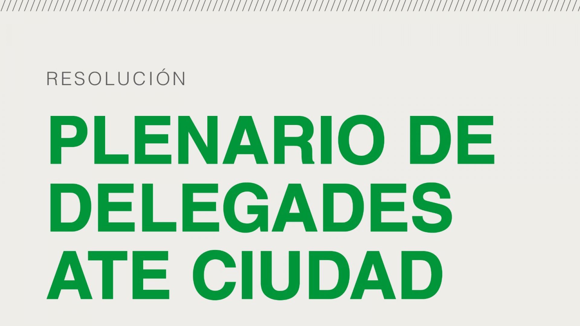 Resoluciones del Plenario de Delegades CABA